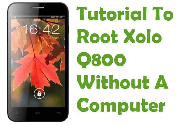 Root Xolo Q800