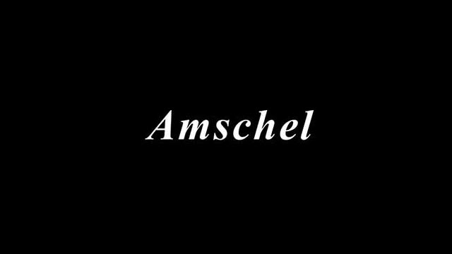 Download Amschel Stock ROM Firmware