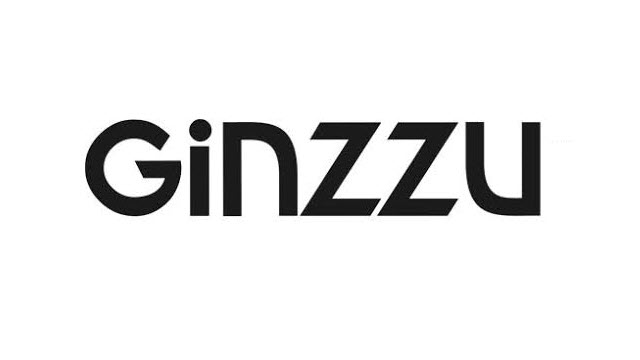 Download Ginzzu USB Drivers