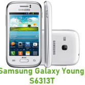 How To Root Samsung Galaxy Young Duos S6313T Smartphone Without PC